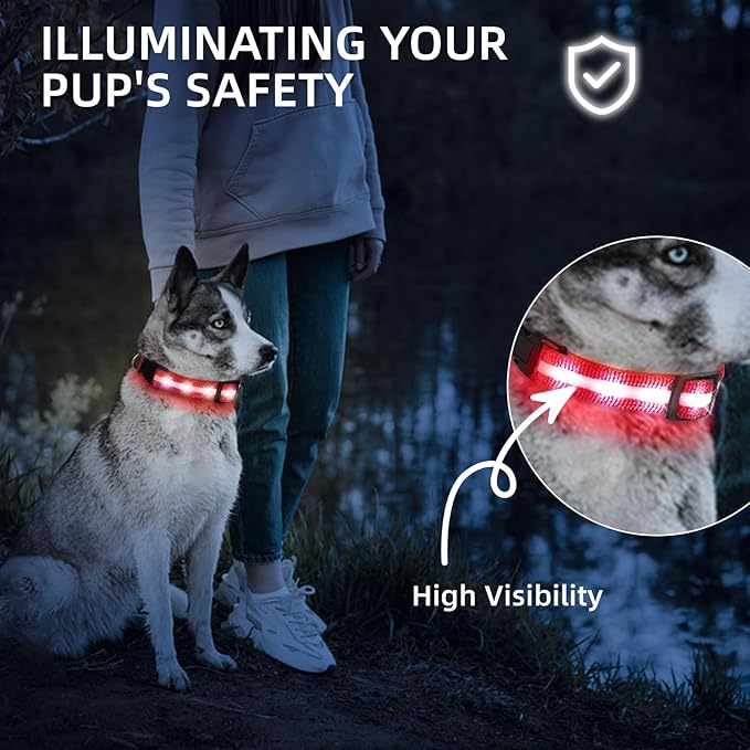 Super Bright LED Dog Collar - Fully Waterproof & Adjustable Glow Collar - USB-C Rechargeable for