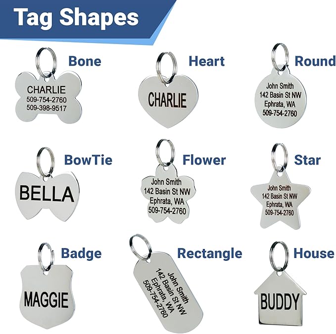 GoTags Stainless Steel Pet ID Tags, Personalized Dog Tags and Cat Tags, up to 8 Lines of Custom