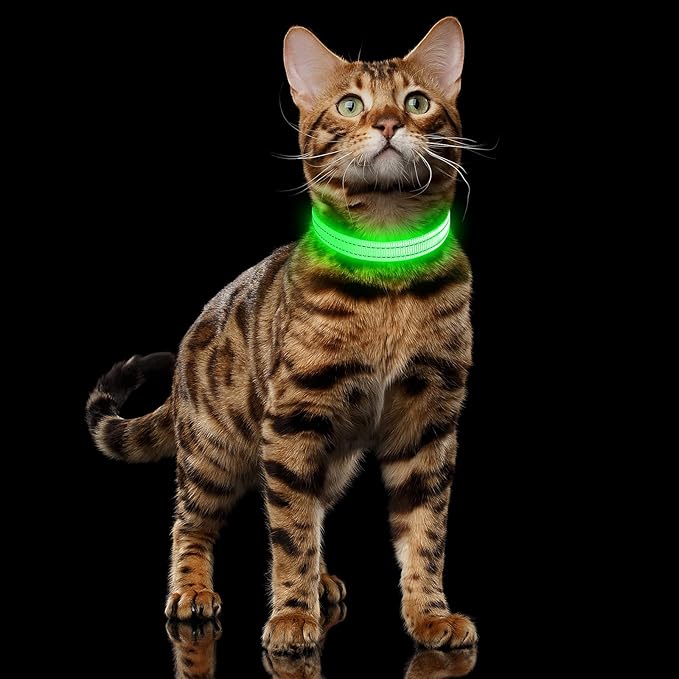 illumifun LED Dog Collar for Puppy, USB Rechargeable Light Up Collar, Lightweight Nylon Glowing Dog