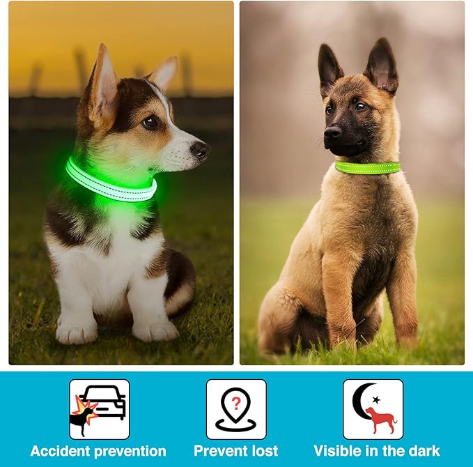 LED Dog Collar - Light Up, Adjustable, Rechargeable, Waterproof, Glow in Dark for Small Pets (S