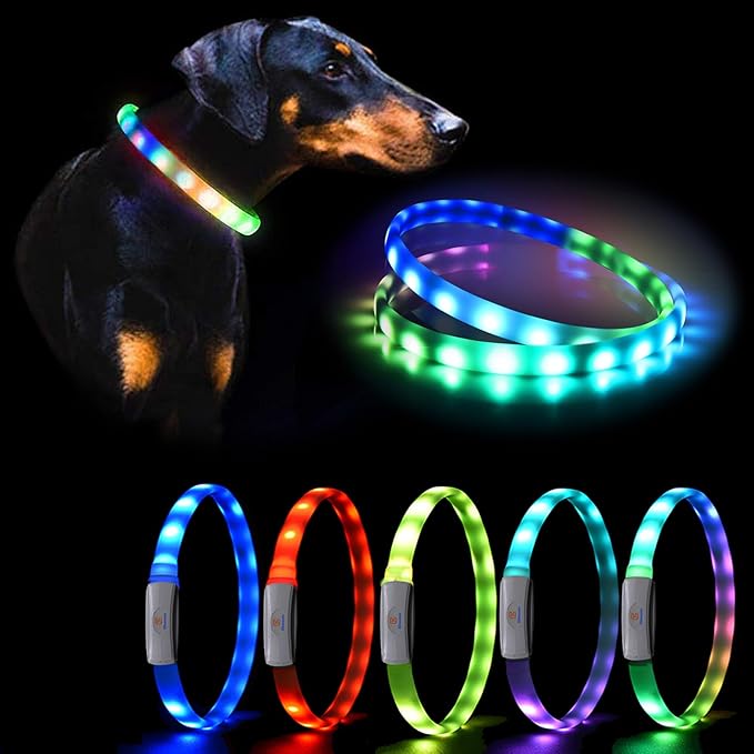 Led Dog Collar Rechargeable USB-C, Super Bright Multi-Color Light Up Collar, Weatherproof Lighted