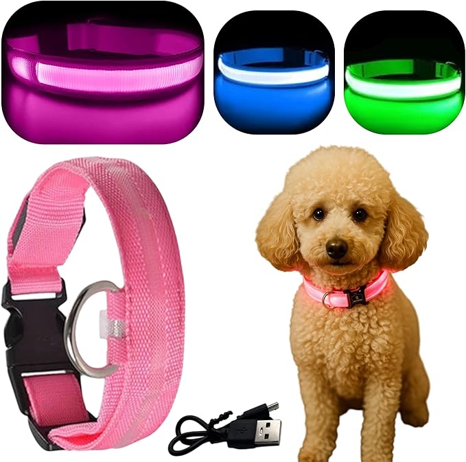 Light Up Dog Collar ??Reflective, Adjustable & Rechargeable Electronic Glow Pet Collars ??Bright
