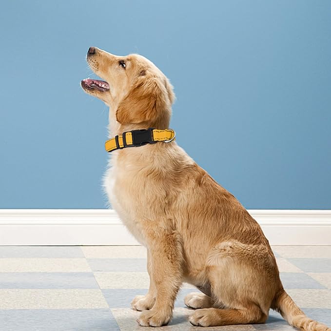Reflective Dog Collar, Adjustable Soft Neoprene Padded Nylon Pet Collars with Buckle for Medium
