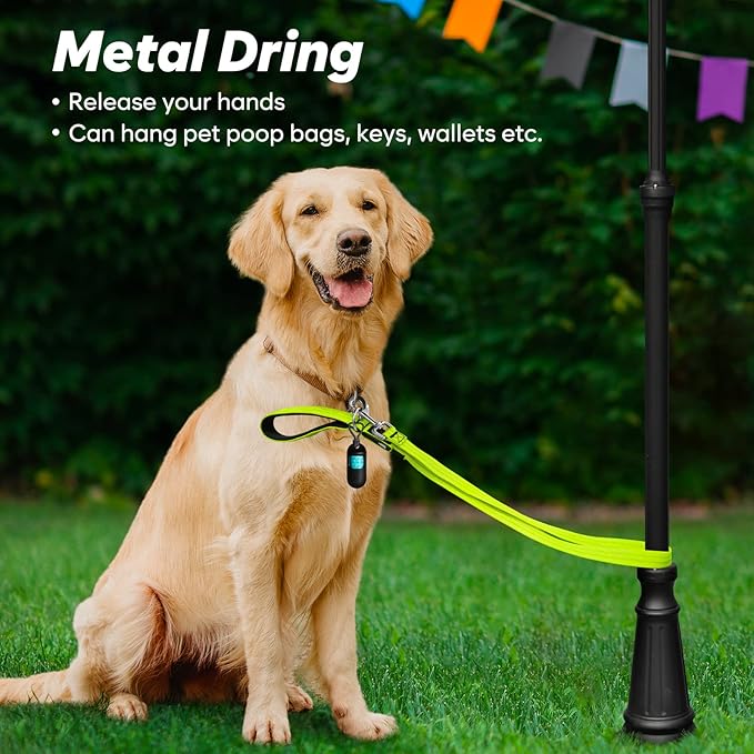 4 Ft LED Dog Leash, Rechargeable Light Up, Safety Glow in The Dark, Nylon Reflective with Padded