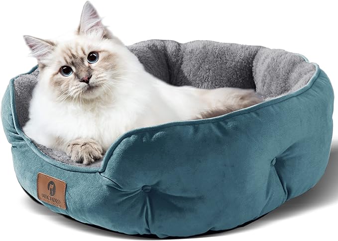 Asvin Small Dog Bed for Small Dogs, Cat Beds for Indoor Cats, Pet Bed for Puppy and Kitty, Extra