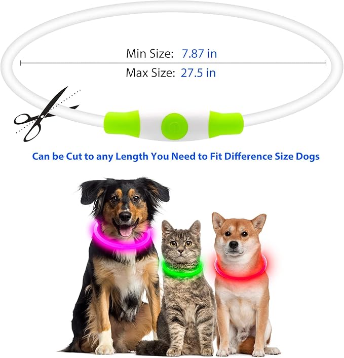 Flashseen LED Dog Collar, USB Rechargeable Glowing Lighted Up Collar, Cuttable Water-Resistant TPU