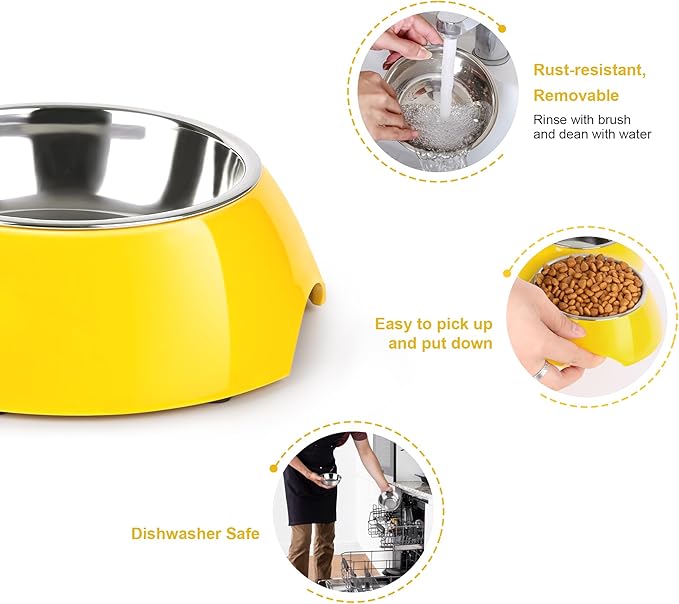 Elevated Dog Bowls Set - Non-Slip Raised Pet Feeder with Medium (2 Cups) & Large (4 Cups) Stainless