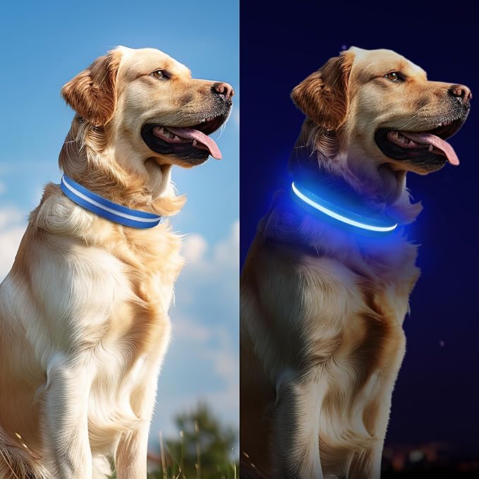 Light Up Dog Collar, Adjustable USB Rechargeable Glow in Dark Dog Collar ，Waterproof Dog Collars