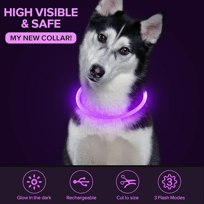 Colaseeme LED Dog Collar Light Up Dog Collars 1 Count USB Rechargeable TPU Glow Safety Basic Dog