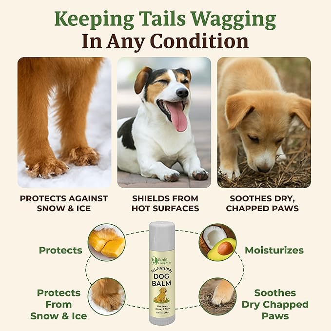 Earth?™s Daughter Dog Paw Balm ??Organic Paw & Nose Protector with Beeswax, Coconut & Calendula