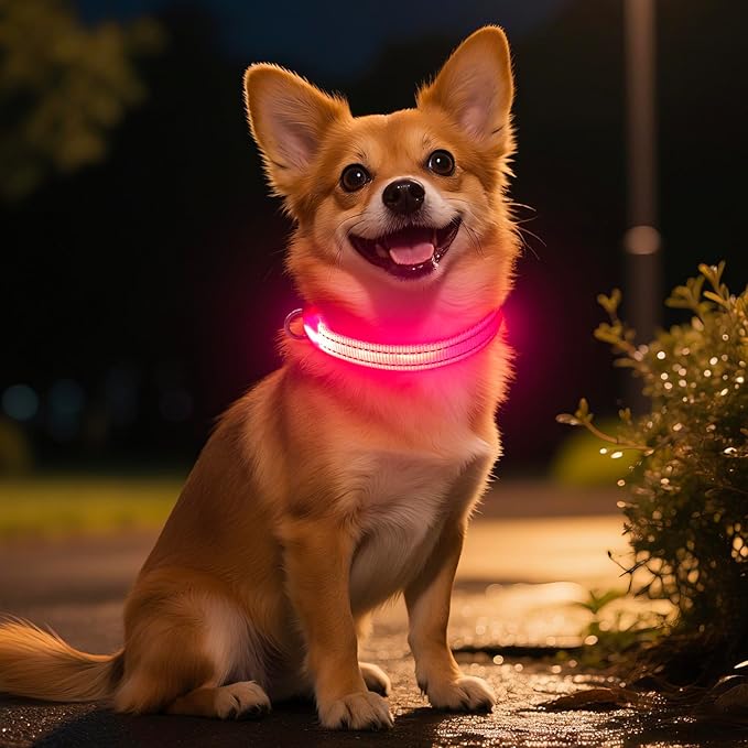 Light Up Dog Collar- Rechargeable Puppy Collars Glow in The Dark LED Dog Collar for Night Walking