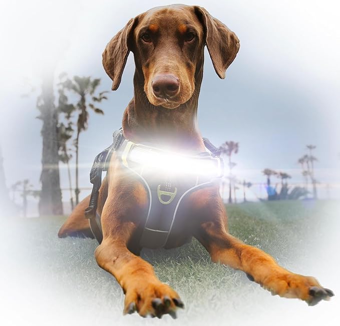 Lumi One LED Dog Harness for Night Visibility and Safety, Patent Pending?“High-Visibility Light-Up