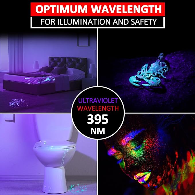 Beieverluck 10 Pack UV Black Light Flashlight Mini 395nm Pen Light with Clip LED Handheld