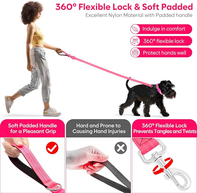 LED Dog Leash, Light Up Dog Leash 4 Ft USB Rechargeable Waterproof, Nylon Reflective Leashes with