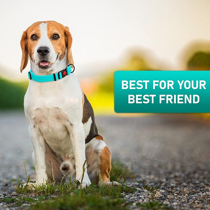 Adjustable Dog Collar with QR Code Dog Tag ID Attached - Made in USA - Honeycomb Waterproof Heavy