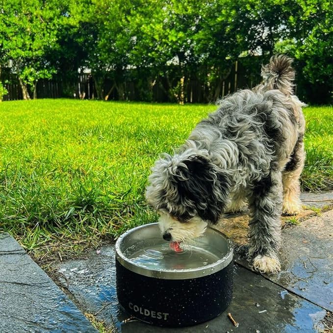 Coldest Dog Bowl - Anti Rust Metal, Non Slip, 3 Layers Insulated Stainless Steel Dog Bowls - Spill