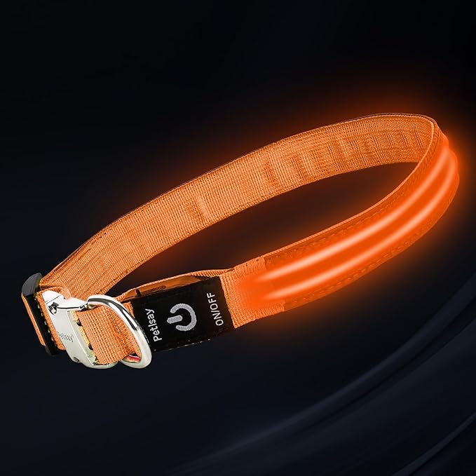 LED Dog Collar with Metal Buckle - USB Rechargeable Glow Collar for Dogs, Waterproof Light Up Dog