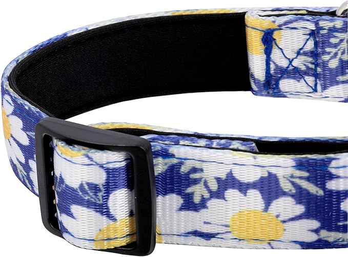 Reflective Dog Collar, Adjustable Soft Neoprene Padded Nylon Pet Collars with Buckle for Puppy and
