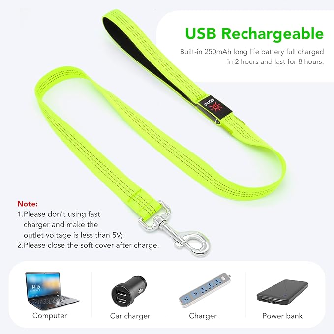 Colaseeme Light Up Dog Leash, LED Pet Leashes USB Rechargeable, Glow Safety Dogs Lights at Night