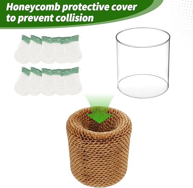 10 Propane Lantern Mantles and 1 Lantern Glass Globe Replacement Parts, Compatible with Coleman