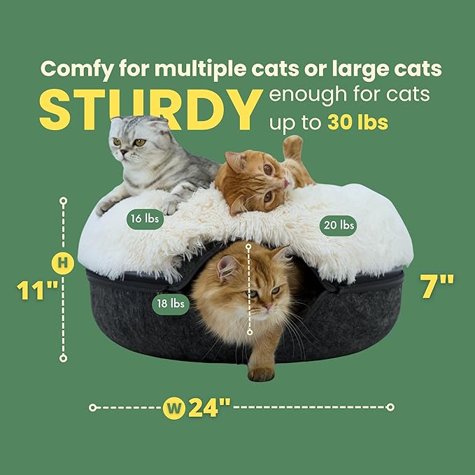 CATTASAURUS Peekaboo Cat Cave for Multiple & Large Cats Up to 30-45 Lbs, Fluffy Cat Beds for Indoor