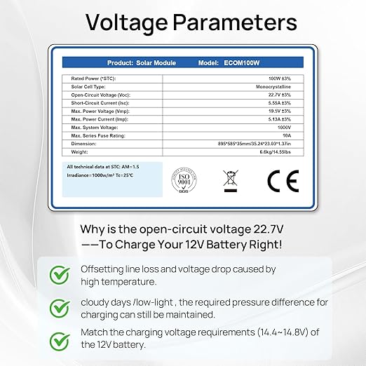 ECO-WORTHY 2pcs 100 Watt Solar Panels Monocrystalline Solar Panel for 12V/24V Battery RV Marine