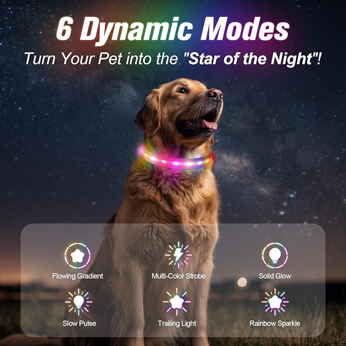 LED Dog Collar, Light Up Dog Collar, USB Rechargeable - Brightest Dog Lights for Night Walking, 6