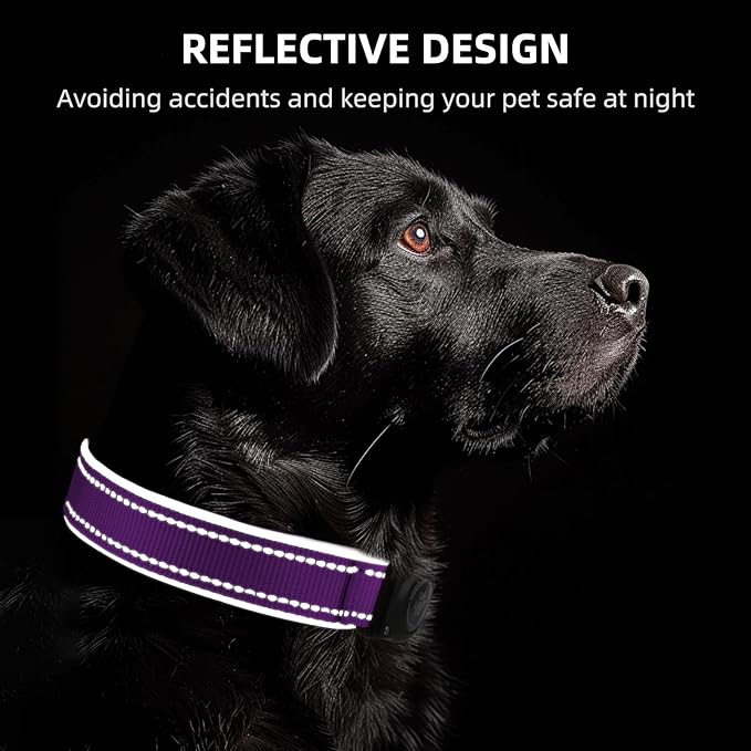 Airtag Dog Collar - 100% Waterproof Air tag Dog Collar Holder for Apple AirTag, Reflective, Soft