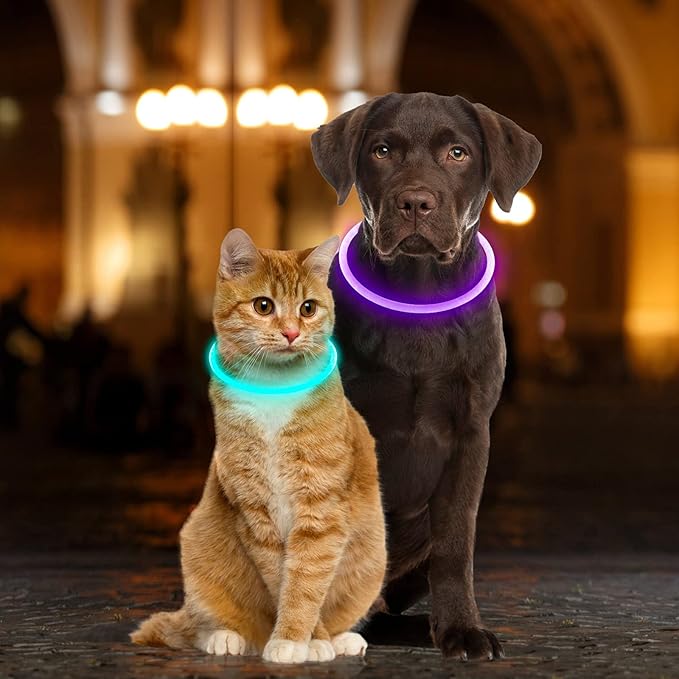 Light Up Dog Collars, USB Rechargeable Dlitk LED Dog Collar 1 Count, TPU Cuttable Size Glow Collar