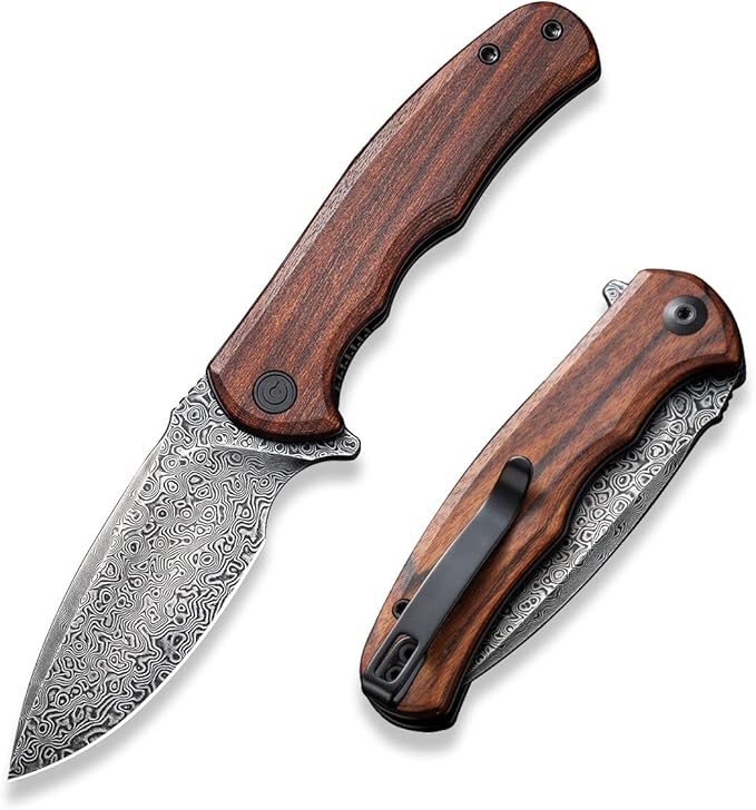 CIVIVI Folding Pocket Knife for EDC, Small Mini Praxis Knife for Men Women, 2.98" Damascus Blade