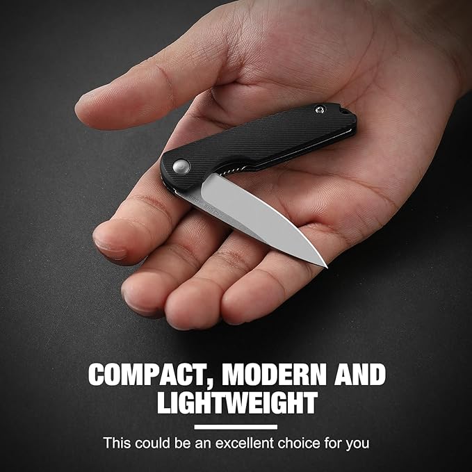 Small Pocket Knives Keychain for Men 2 Inch Blade Mini Folding Knife (D- C-Silver Blade + Black)
