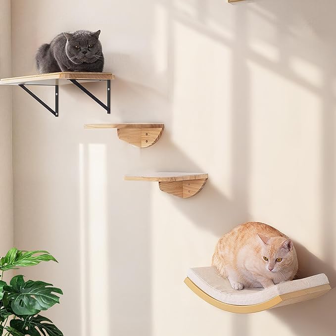 Cat Wall Shelf & Window Perch Combo, Wood Cats Wall Furniture with Soft Foam Curved Bed and