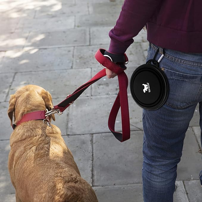 Collapsible Dog Bowls for Travel, 2-Pack Dog Portable Water Bowl for Dogs Cats Pet Foldable Feeding
