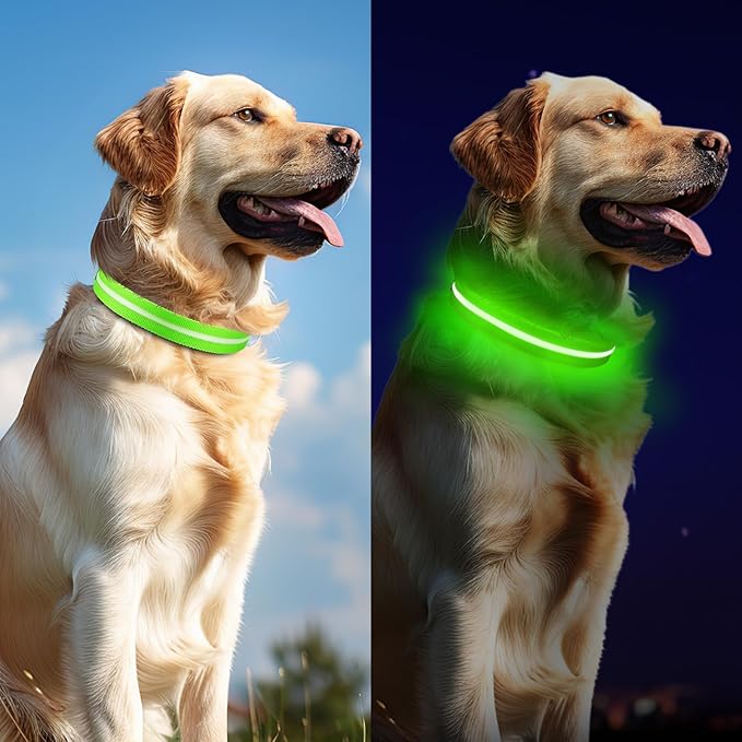 Light Up Dog Collar, Adjustable USB Rechargeable Glow in Dark Dog Collar ，Waterproof Dog Collars