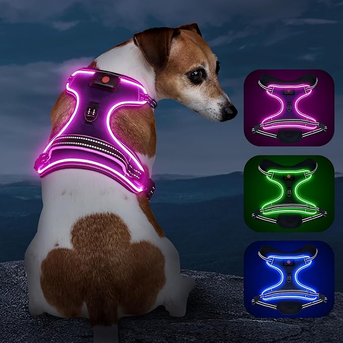 Light Up Dog Harness, No Pull LED Dog Harness with Handle, Rechargeable Lighted Safety Vest for