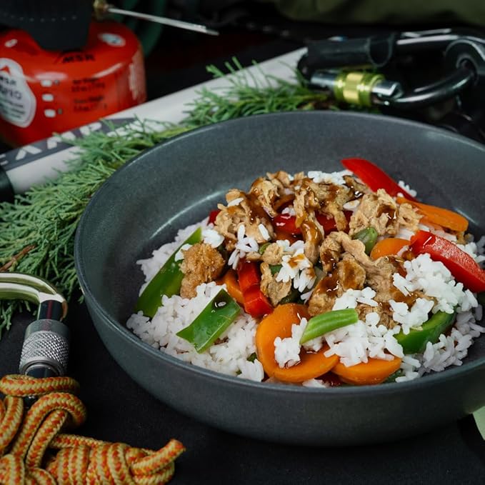 Nomad Nutrition Chick'n Teriyaki Bowl | Instant Freeze Dried Backpacking & Camping Food |