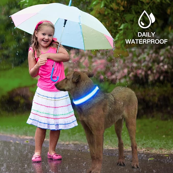YFbrite Light up Dog Collar, USB Rechargeable LED Puppy Collar Super Bright Adjustable Glowing Dog
