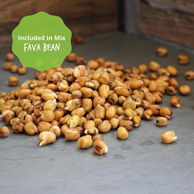 Organic Sprouting Seeds - Handy Pantry Sweet Protein Mix 4 oz. - Fava Bean, Mung Bean, & Yellow Pea