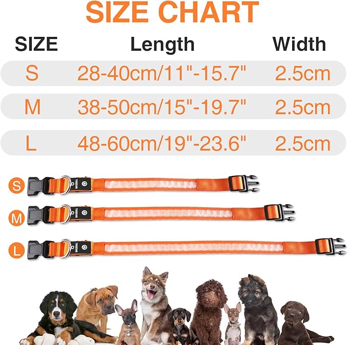 MASBRILL Light Up Dog Collar - LED, Rechargeable, Waterproof Glow Collar for Night Walking with