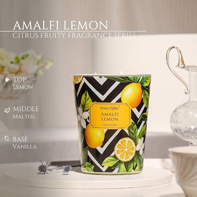 HomeLights Large jar Candle | 3-Wick Long-Lasting Scented Candles, 34oz Natural Soy Wax Candle for