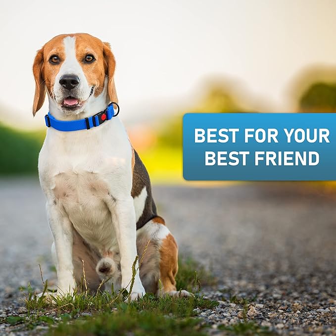 Adjustable Dog Collar with QR Code Dog Tag ID Attached - Made in USA - Honeycomb Waterproof Heavy