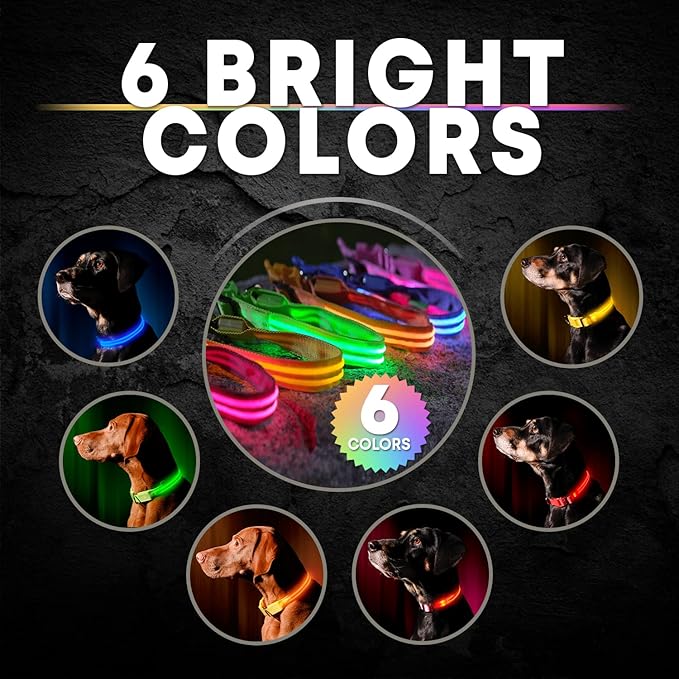 Illumiseen LED Dog Collar USB Rechargeable - Bright & High Visibility Lighted Glow Collar for Pet