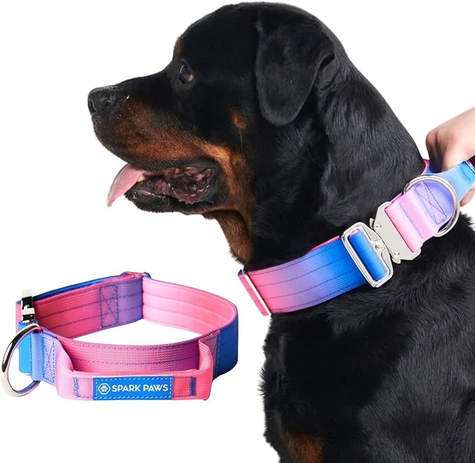 Tactical Dog Collar with Handle - Premium Quality Collar, Robust and Durable Design for Large