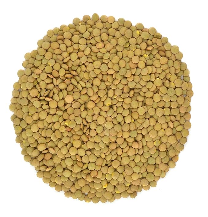 Organic Green Lentils Whole Raw, High Fiber Non-GMO-Bulk (1LB)