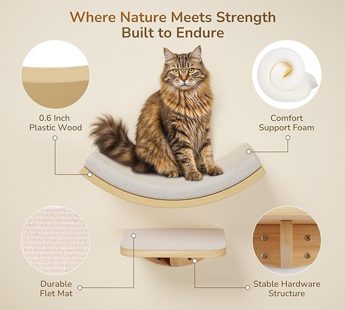 Cat Wall Shelf & Window Perch Combo, Wood Cats Wall Furniture with Soft Foam Curved Bed and