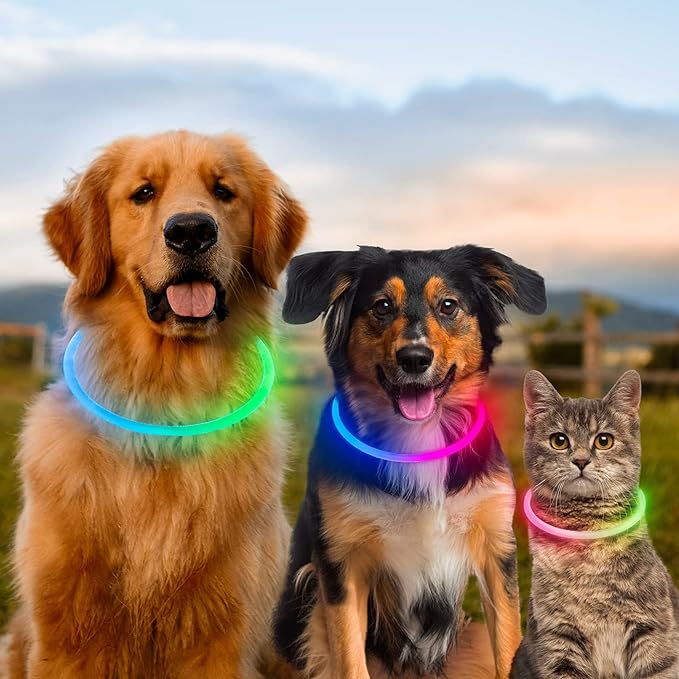 Light Up Dog Collars, USB Rechargeable Dlitk LED Dog Collar 1 Count, TPU Cuttable Size Glow Collar
