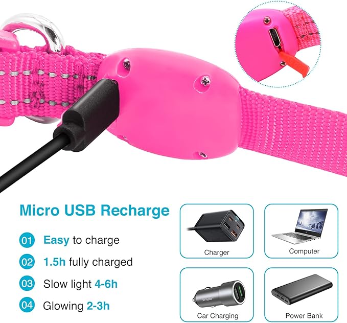 LED Dog Collar - Light Up, Adjustable, Rechargeable, Waterproof - Night Walking, Glow in Dark