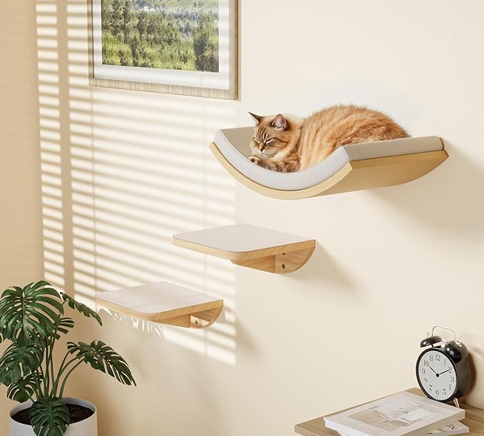 Cat Wall Shelf & Window Perch Combo, Wood Cats Wall Furniture with Soft Foam Curved Bed and