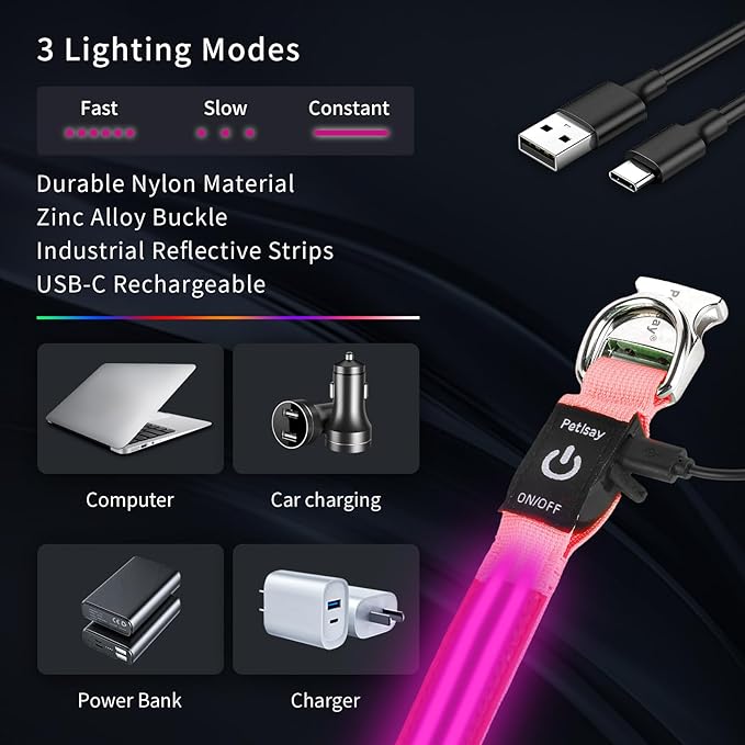 LED Dog Collar with Metal Buckle - USB Rechargeable Glow Collar for Dogs, Waterproof Light Up Dog