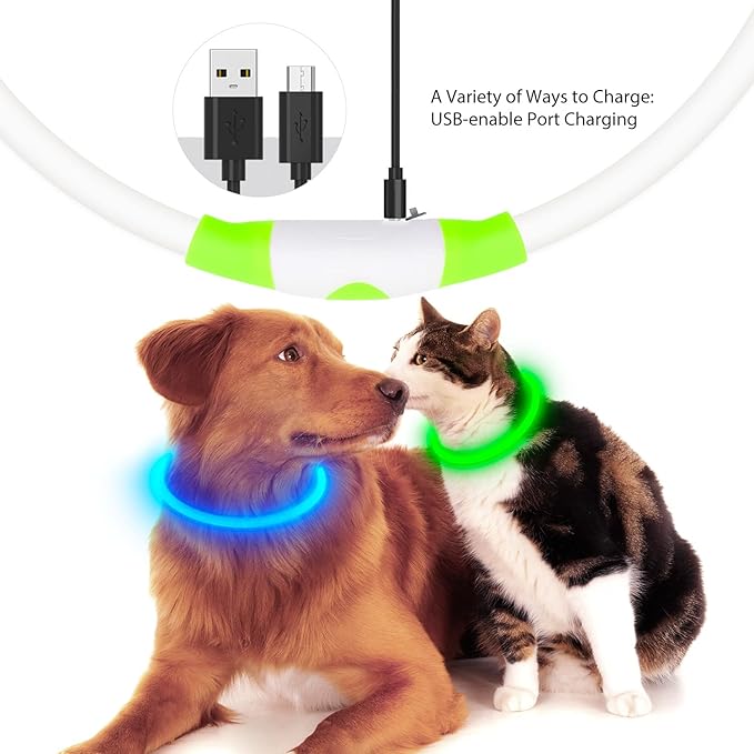 Flashseen LED Dog Collar, USB Rechargeable Glowing Lighted Up Collar, Cuttable Water-Resistant TPU